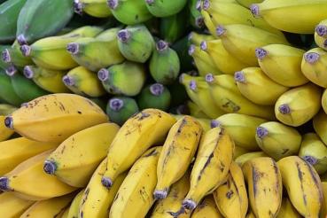 Thai banana plantains