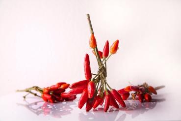 Afro Chili Hot Pepper red Habanero red