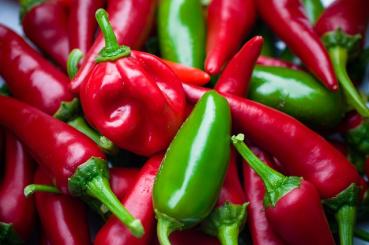 Bullet Chilli