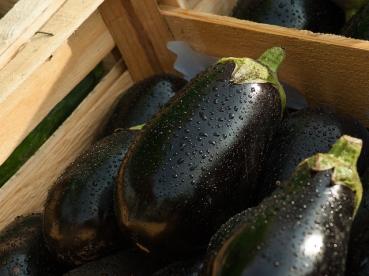 Eggplant Thai