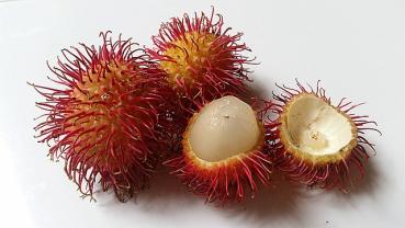 Rambutan