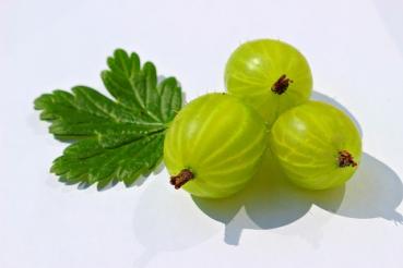 Stachelbeeren /Amla