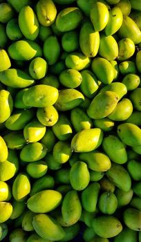 Green mango