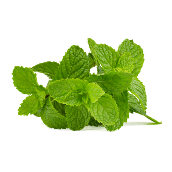 Mint bunch