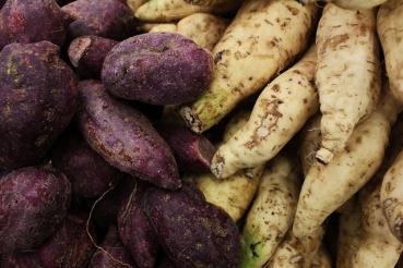 Sweet potato white/purple