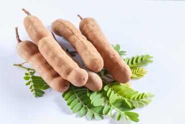 Tamrind 450g