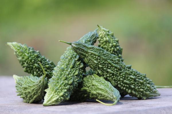 Bitter Kürbis/Karela