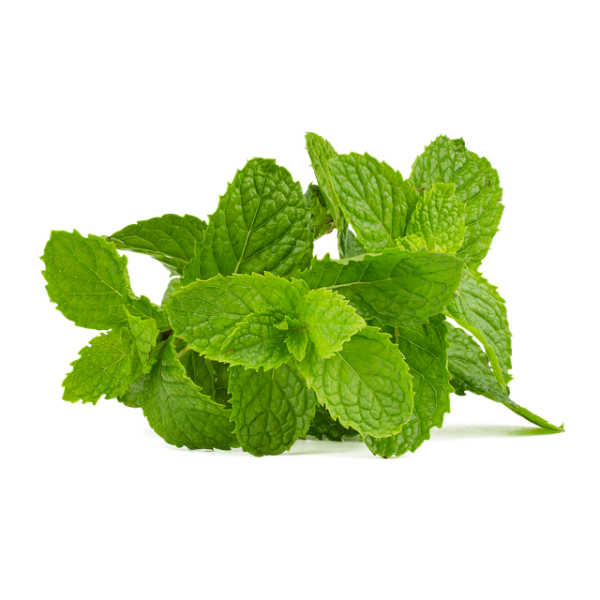 Mint bunch